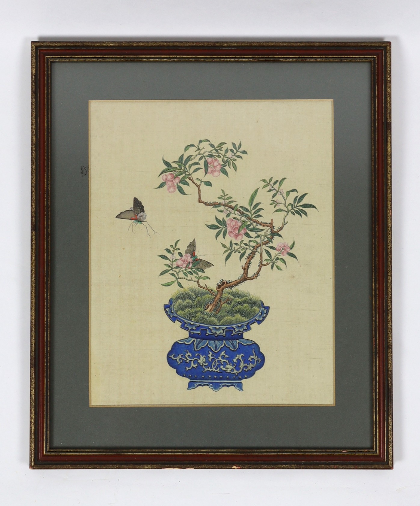 A Chinese painting on silk of a blue glazed jardiniere containing a lychee plant with butterflies, late 19th/early 20th century, image 35cm x 28 cm